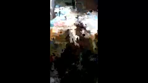 Snapshot of carrilloeverardo219 chatting on 03.23.26 carrilloeverardo219 online show from 03.23.26