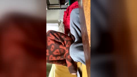 Snapshot of carrrigggg chatting on 03.03.26 carrrigggg online show from 03.03.26