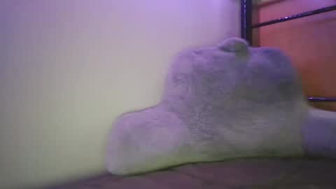 Snapshot of caseyjoexo chatting on 02.05.26 Casey Joe online show from 02.05.26