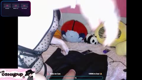 caseypup online show from 12.02.25