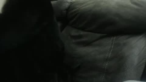 Snapshot of casidy1 chatting on 01.23.25 casidy1 online show from 01.23.25