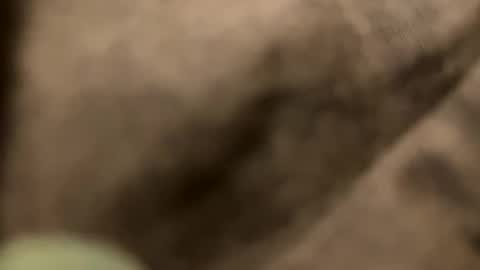 Snapshot of casidy1 chatting on 02.02.25 casidy1 online show from 02.02.25