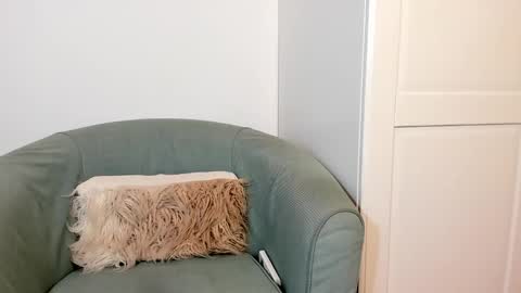 Snapshot of cassieandmarco chatting on 10.27.25 cassiecute - onlyfans account online show from 10.27.25