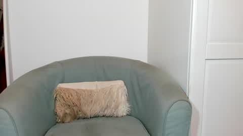 cassiecute - onlyfans account online show from 07.13.26