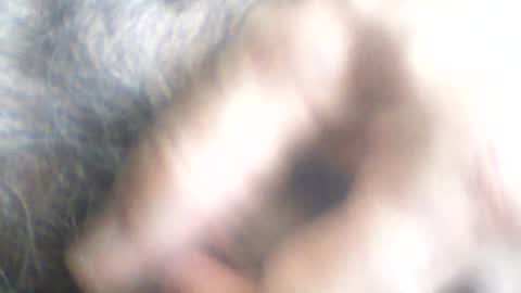 castells online show from 06.24.26