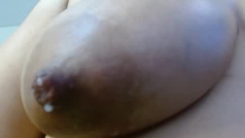 Cata  online show from 12.29.24