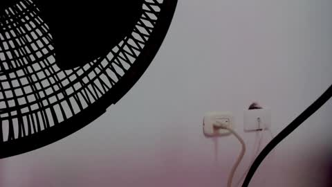 Snapshot of catalaia_stomm chatting on 01.17.25 catalaia_stomm online show from 01.17.25