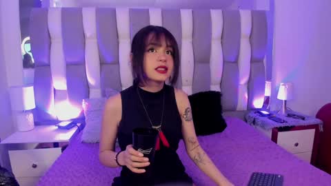 Cat  online show from 12.07.24