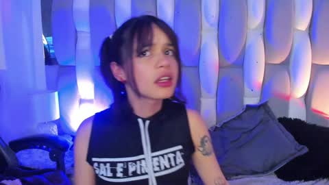 Cat  online show from 12.15.24