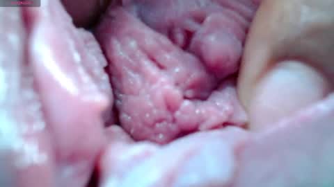 Catherina   online show from 04.30.26