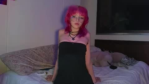 Cat online show from 11.14.25