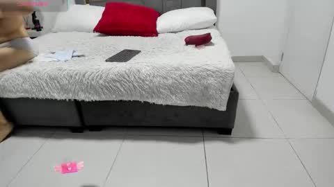 Catleya online show from 01.17.26