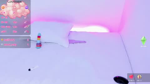 CattNamy online show from 12.18.24