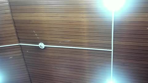 caylincollins online show from 02.02.26