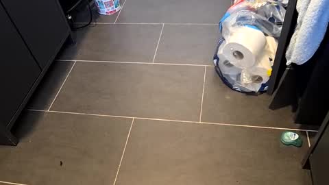 Telegram ldl123 online show from 03.08.25