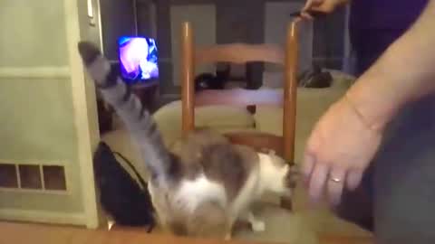 Snapshot of cbisc chatting on 03.28.26 cbisc online show from 03.28.26