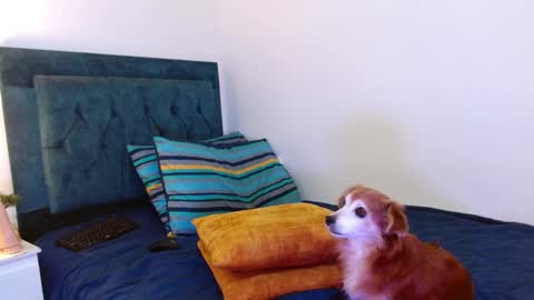 Cedrixx10 online show from 10.25.25