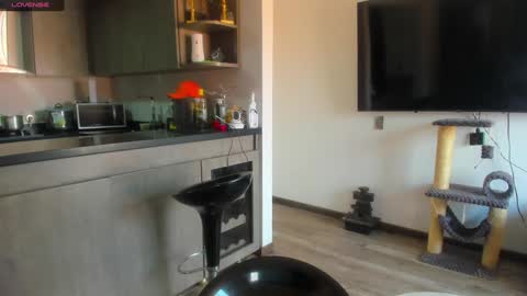 Snapshot of celeste_pervert chatting on 01.15.25 mia sofiabohorquez INSTAGRAM online show from 01.15.25