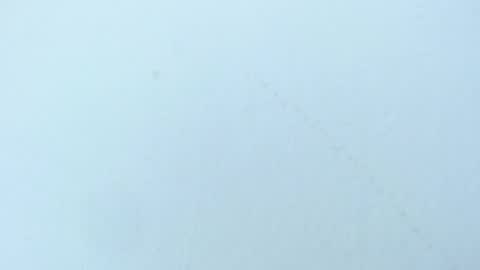 celiani_caleb online show from 11.03.25