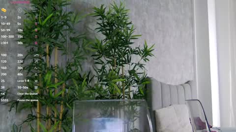 Snapshot of celinemeyerr chatting on 01.31.25 CelineMeyer online show from 01.31.25