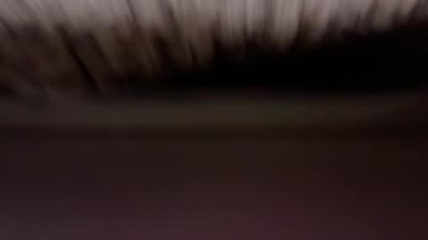 Snapshot of cenobitfor chatting on 03.06.26 cenobitfor online show from 03.06.26