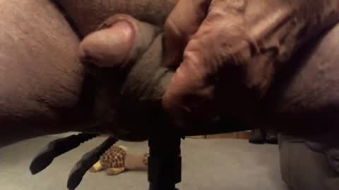 centaur629 online show from 02.13.26