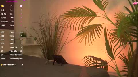 Snapshot of ceserisu chatting on 10.13.25 Casey online show from 10.13.25