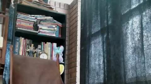 Snapshot of cguffey2284 chatting on 02.18.25 cguffey2284 online show from 02.18.25