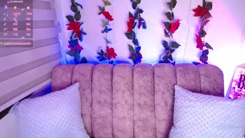 Snapshot of chaarlotte_1 chatting on 01.23.25 charlotte online show from 01.23.25