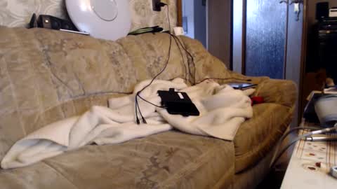 chacoa online show from 02.15.26