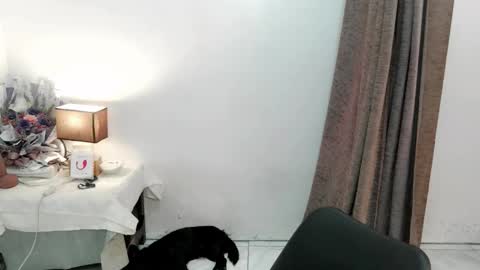 Snapshot of chakadal_xx chatting on 11.20.25 chakadal_xx online show from 11.20.25