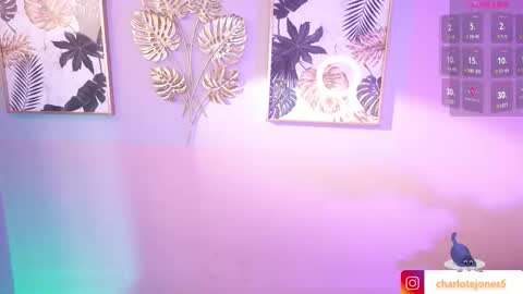 Char 3  Lets go for the 100 Thumb-Up   online show from 11.01.25