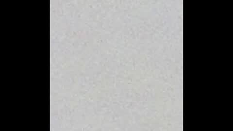 Charlotte online show from 09.08.25