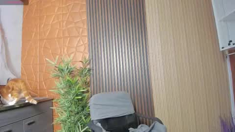 Charlotte  Everyday From 0700 to 1300 Col Time online show from 02.17.25