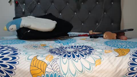 charlottee07 online show from 02.11.25