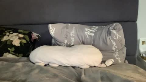 Vicky online show from 09.19.25