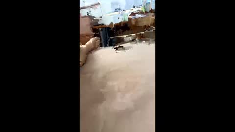 Snapshot of chasejase20333 chatting on 12.16.24 chasejase20333 online show from 12.16.24