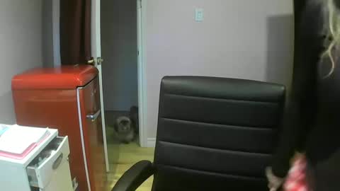 chealsiek online show from 10.12.25