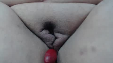 Cheila online show from 02.24.26