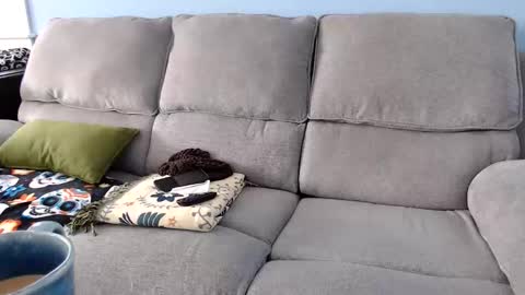 Snapshot of chelseasentra1 chatting on 02.02.26 Chelsea online show from 02.02.26