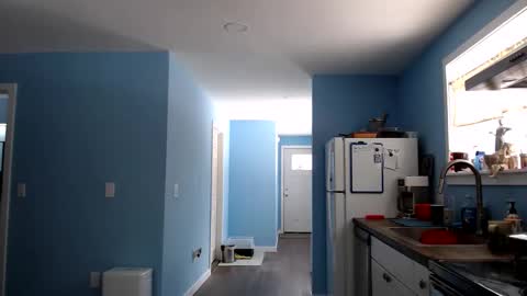 Snapshot of chelseasentra1 chatting on 03.24.26 Chelsea online show from 03.24.26