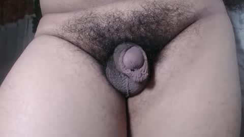 chescahotxxxl online show from 12.04.25