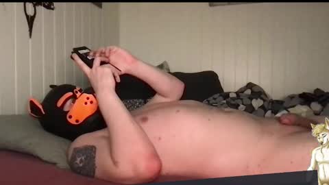 Snapshot of chestandbellyfetish chatting on 03.28.26 ChestBellyFetish online show from 03.28.26