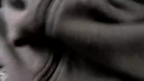 Snapshot of chicagosuburbs7 chatting on 01.16.26 chicagosuburbs7 online show from 01.16.26