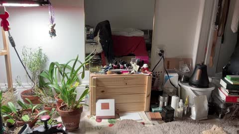 judith online show from 02.03.25