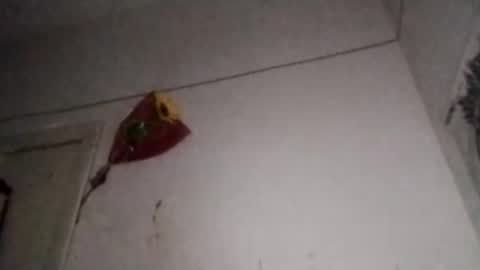 Snapshot of chinanochina11 chatting on 11.07.25 China online show from 11.07.25