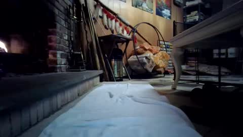 Snapshot of chippy70 chatting on 01.18.26 chippy70 online show from 01.18.26