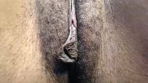Cutie online show from 05.03.26