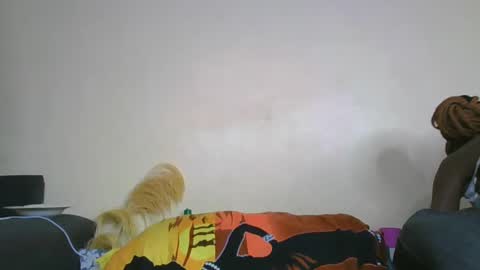 nei online show from 02.11.25