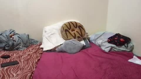 Snapshot of chris_jake1 chatting on 03.14.26 chris_jake1 online show from 03.14.26